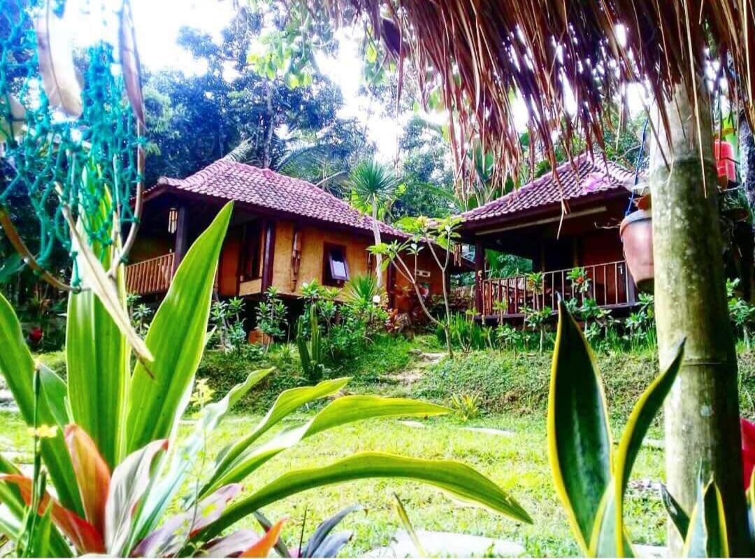 Sky garden Lombok Lägenhet Tetebatu Exteriör bild
