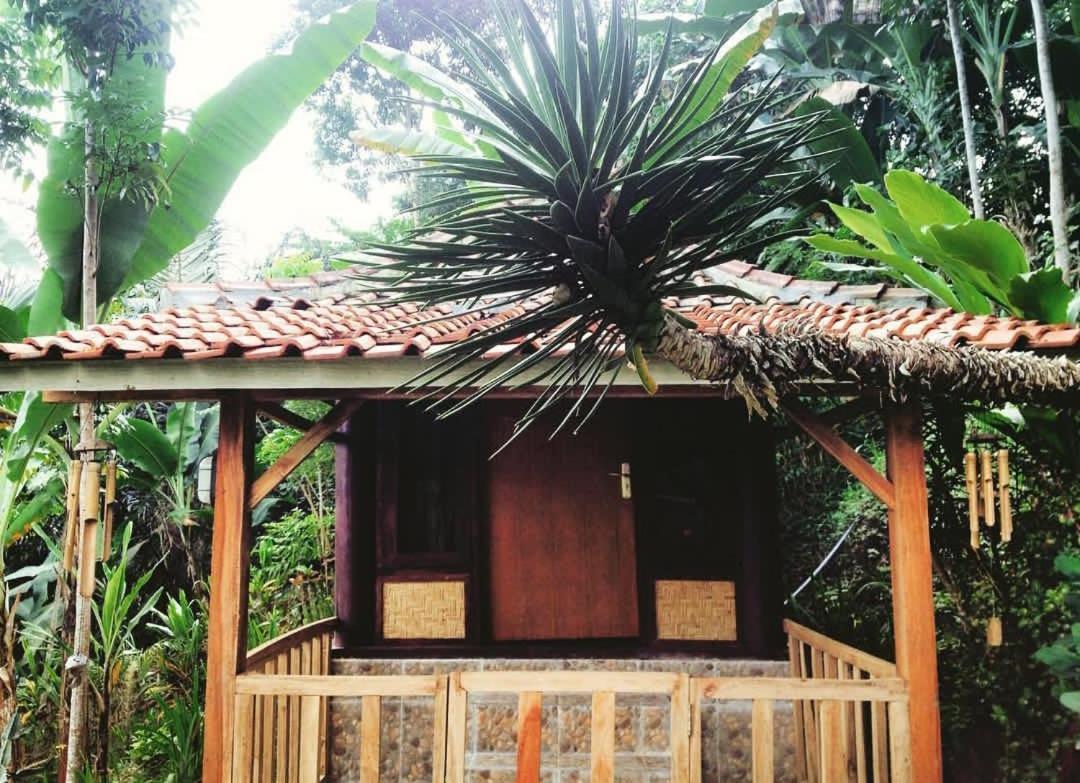 Sky garden Lombok Lägenhet Tetebatu Exteriör bild