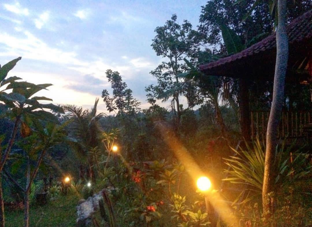 Sky garden Lombok Lägenhet Tetebatu Exteriör bild