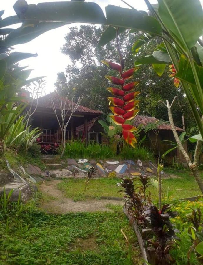 Sky garden Lombok Lägenhet Tetebatu Exteriör bild