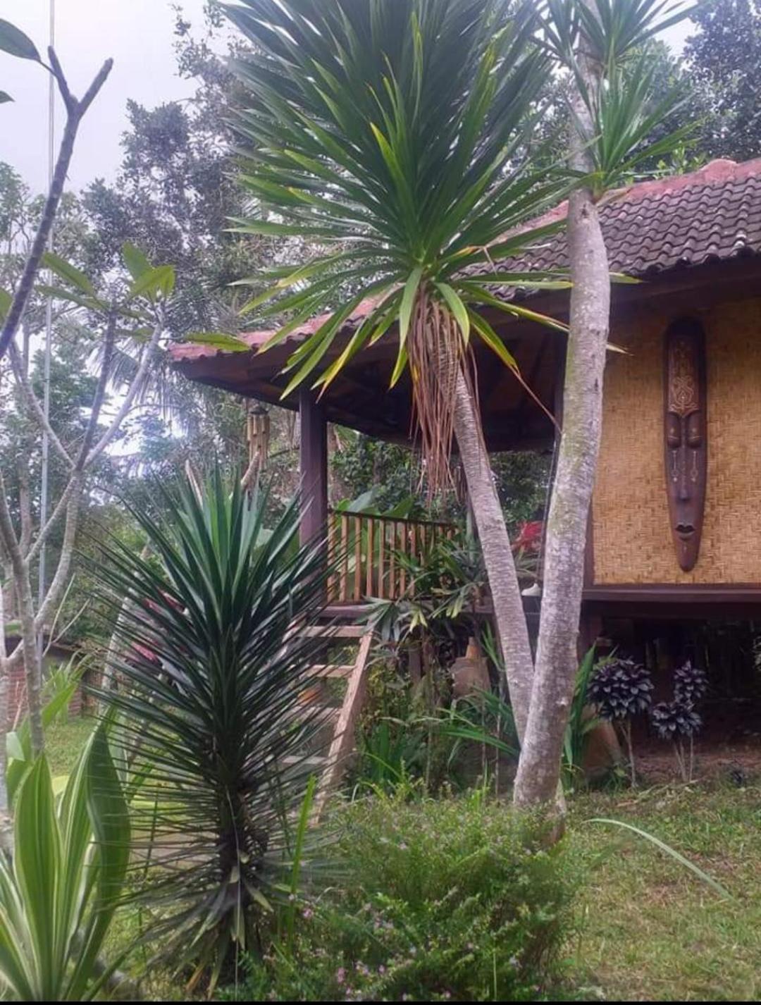 Sky garden Lombok Lägenhet Tetebatu Rum bild